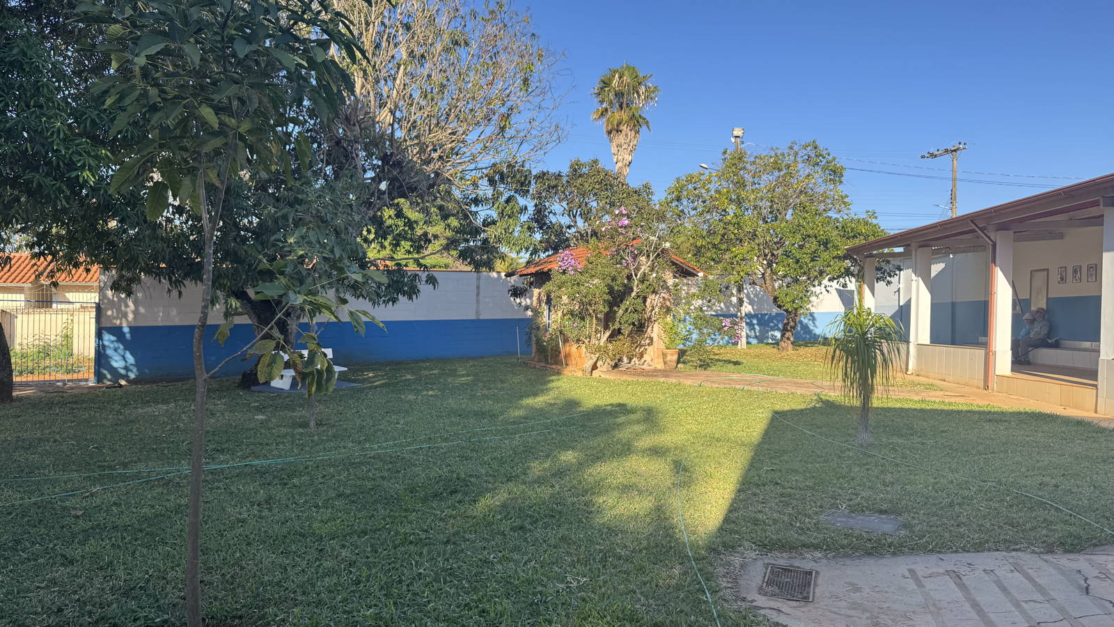 ブラジルの朝の庭
