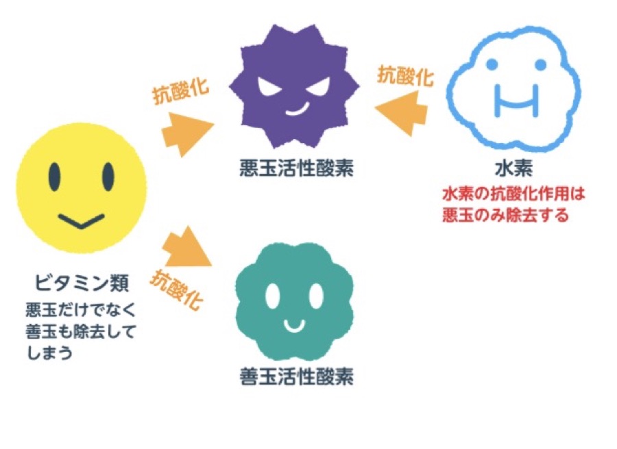 水素の抗酸化作用